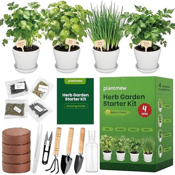 indoor herb garden starter kit
