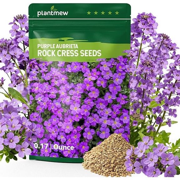 purple aubrieta rock cress seeds