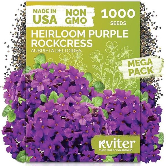 purple rock cress seeds 1 000